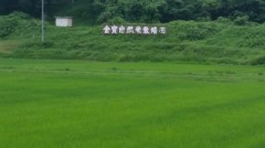 自社田